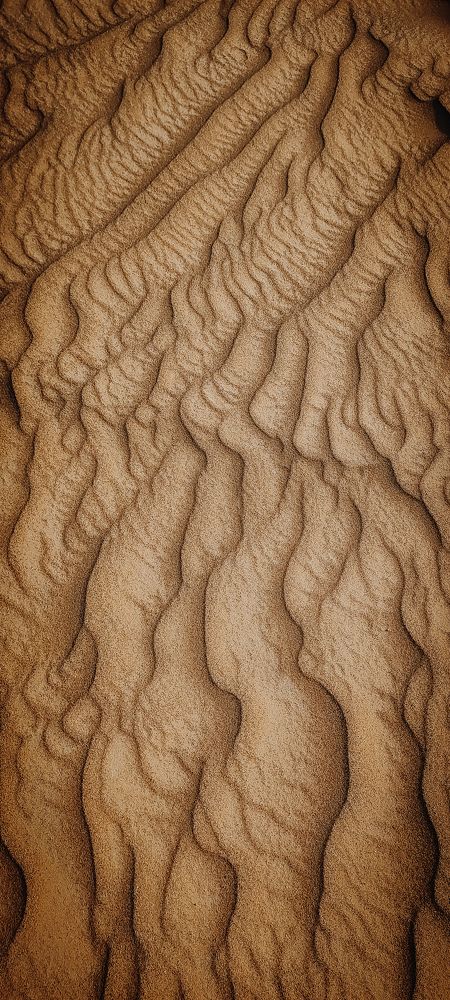 Photograph by Ирина Молчанова