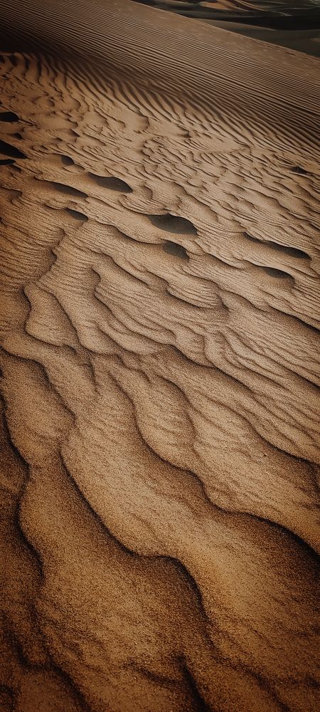 Photograph by Ирина Молчанова