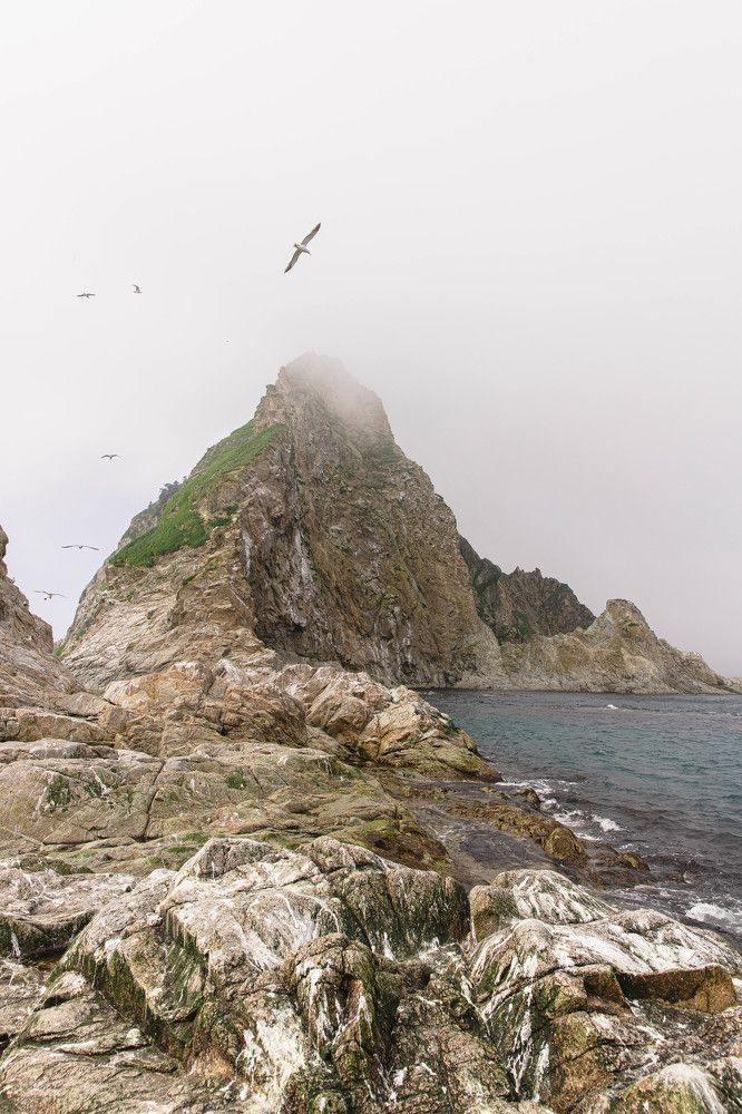 Photograph by Яна Велес