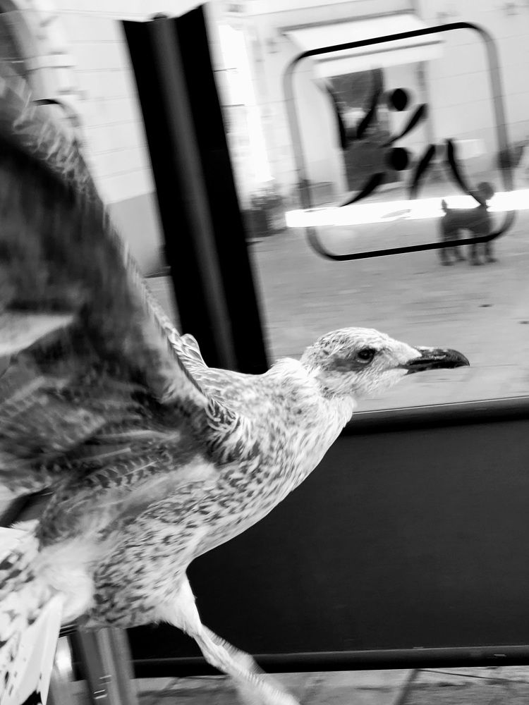 Фотография автора Lada Yakouchyk