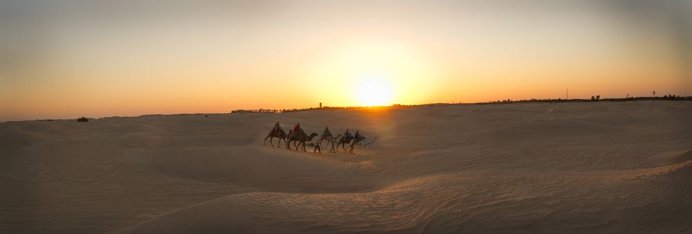 Photograph by Елизавета Шишова