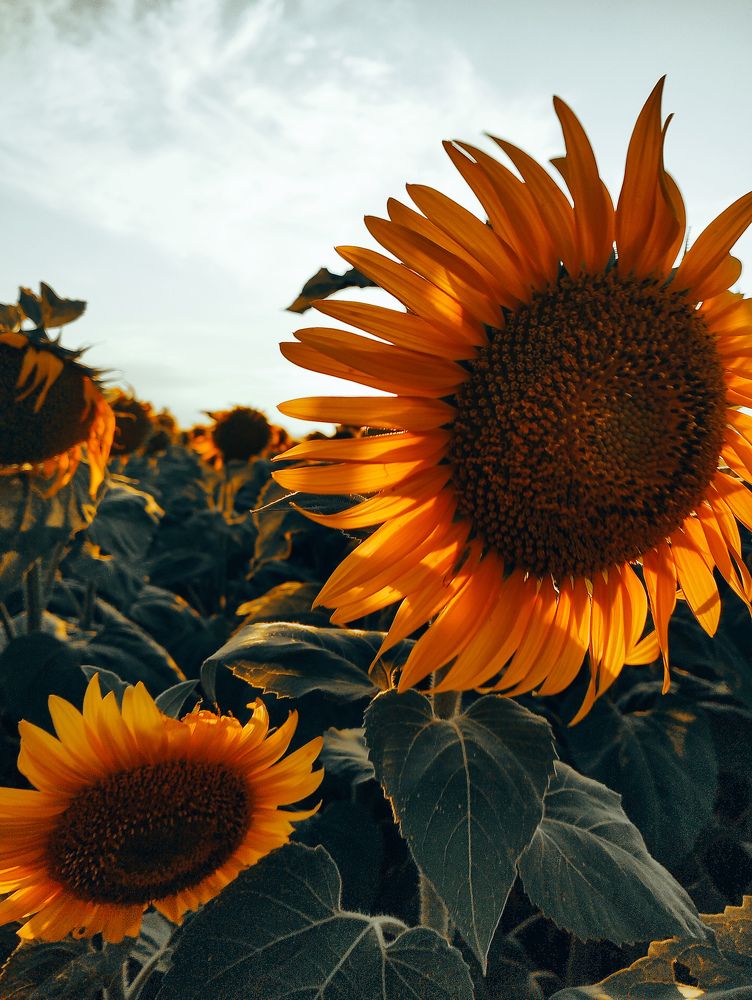 Фотография автора Юлия Гантимурова