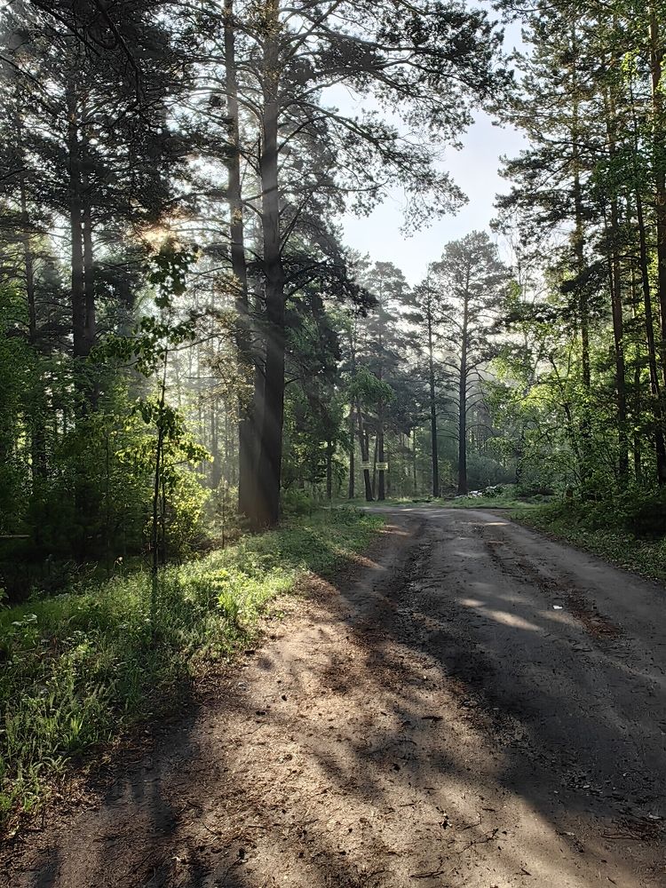 Photograph by Людмила Савчук