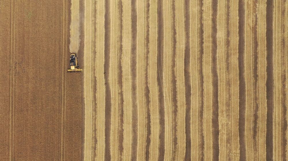 Photograph by Igor  Nosulenko