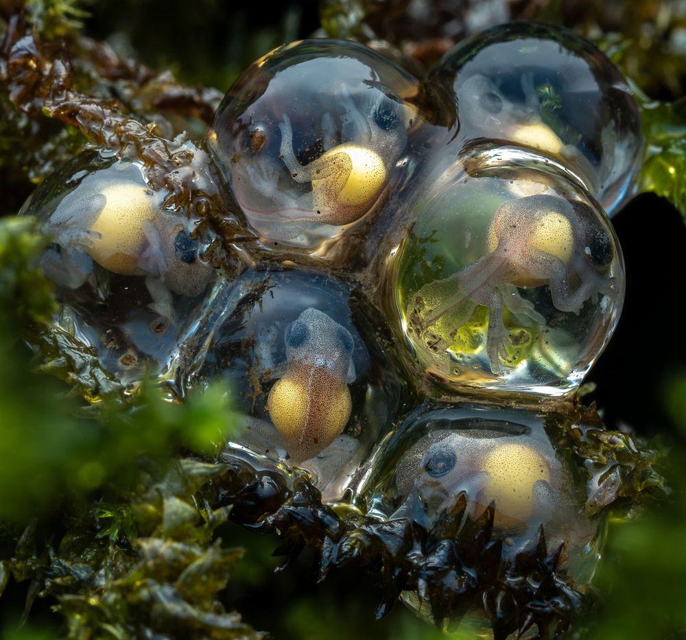 Photograph by Manjunath S