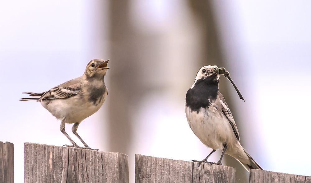 Photograph by Пушкин Сергей