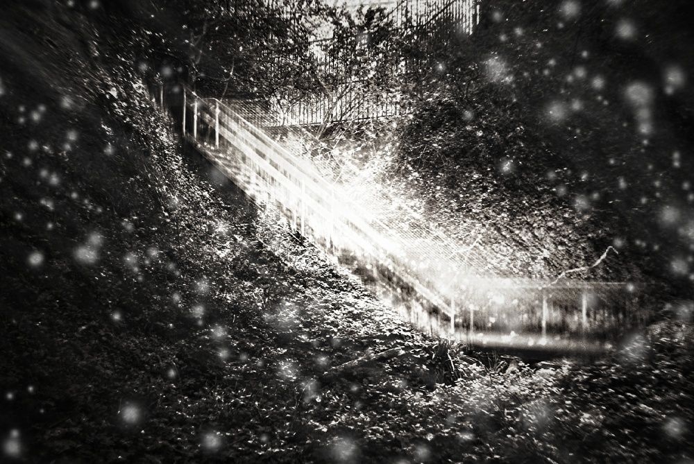 Photograph by Анна Берневик