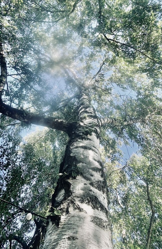 Photograph by Татьяна Мустафина
