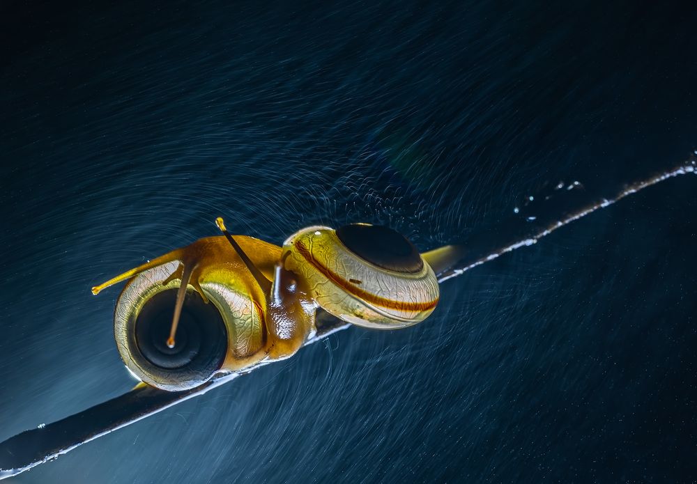 Photograph by Hardik Shah