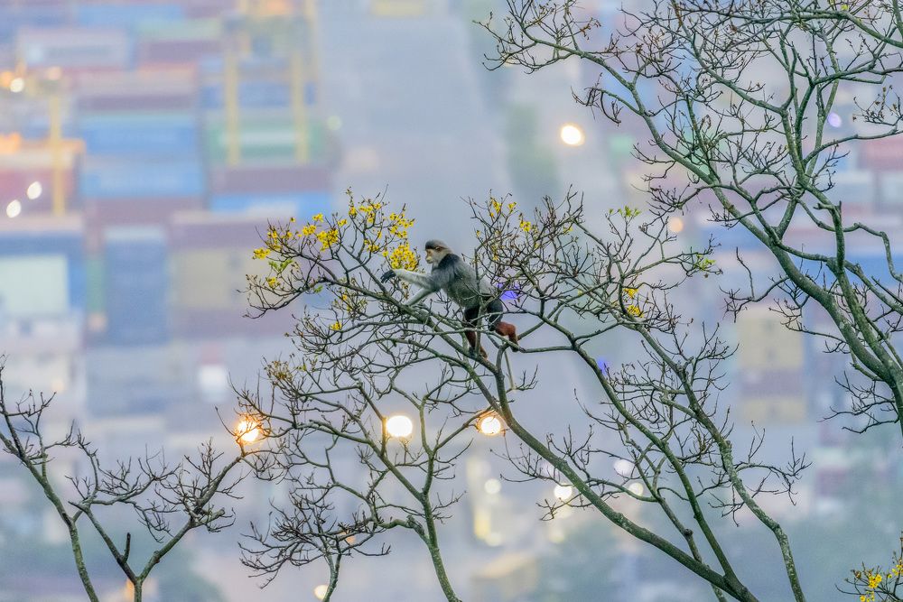 Photograph by Dang Khiem Pham