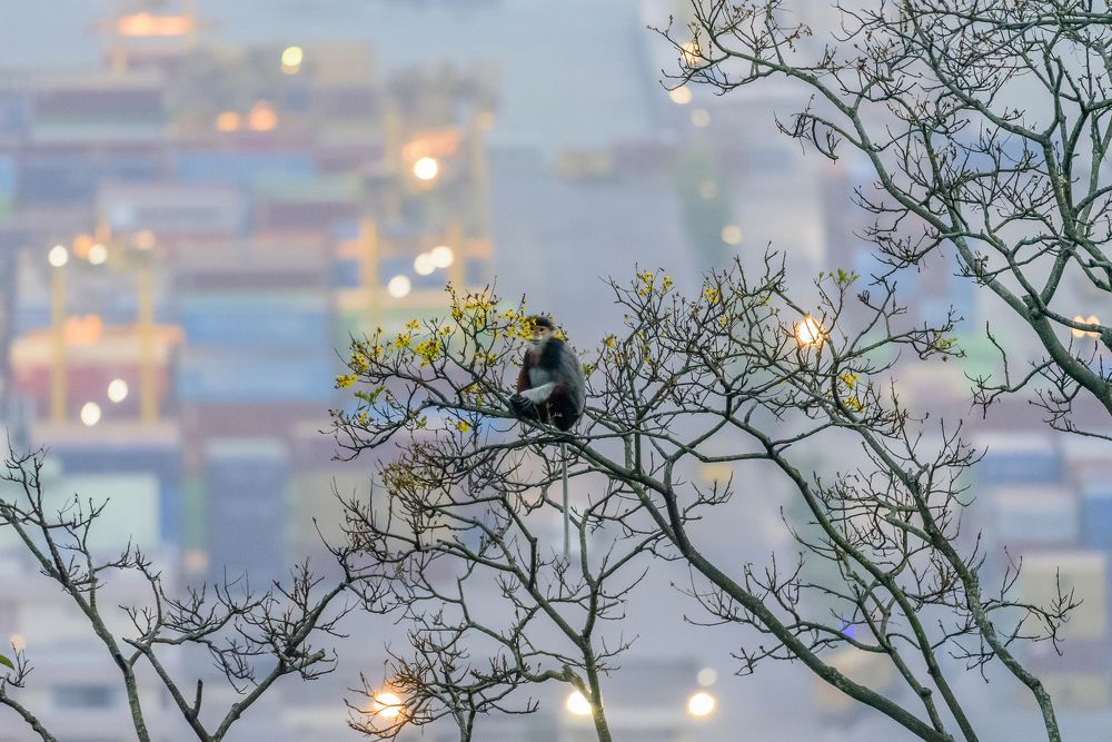 Photograph by Dang Khiem Pham