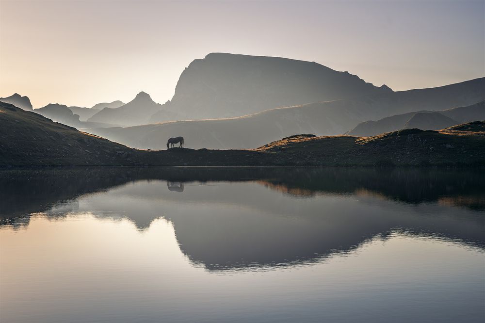 Фотография автора Александър Александров