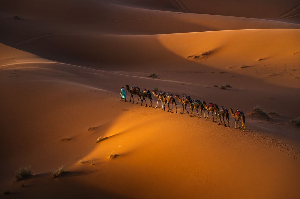 Photograph by Александър Александров