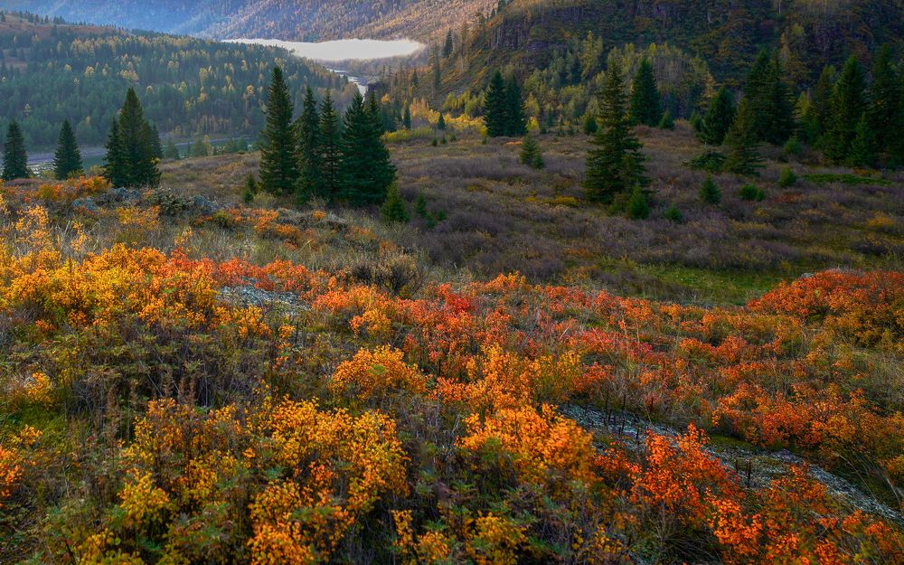 Photograph by Кузнецов Андрей