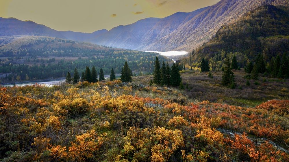 Photograph by Кузнецов Андрей