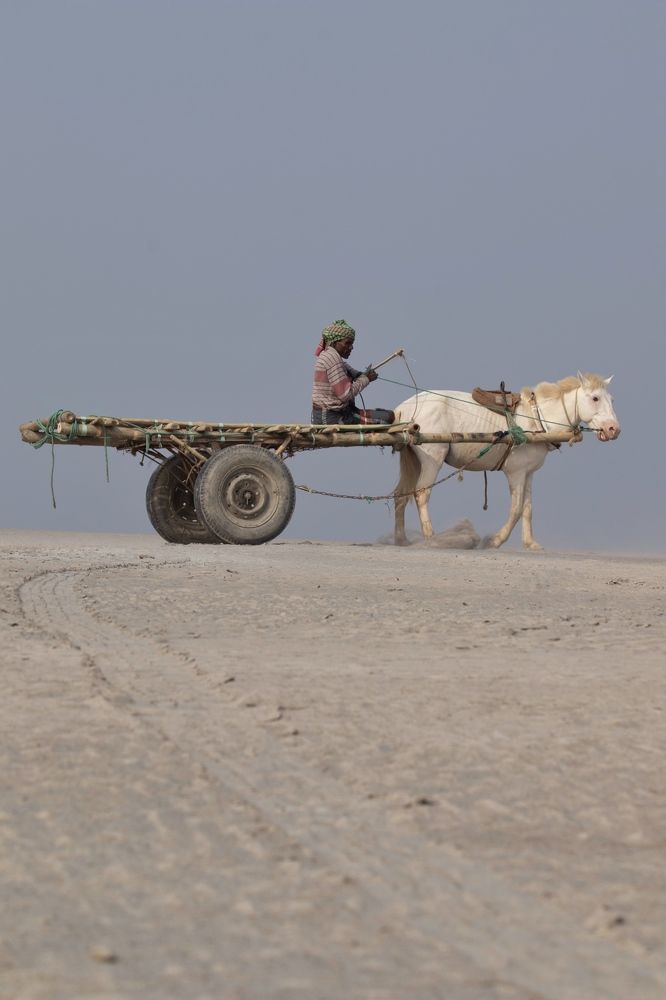 Фотография автора Washiful Majid