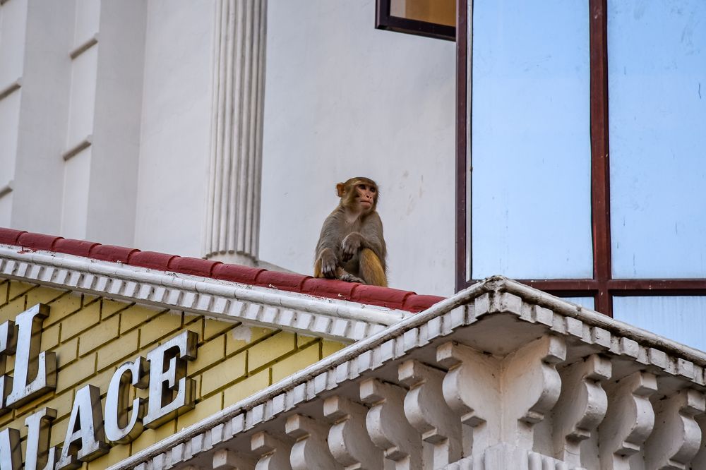 Photograph by DEBRAJ PURKAYASTHA