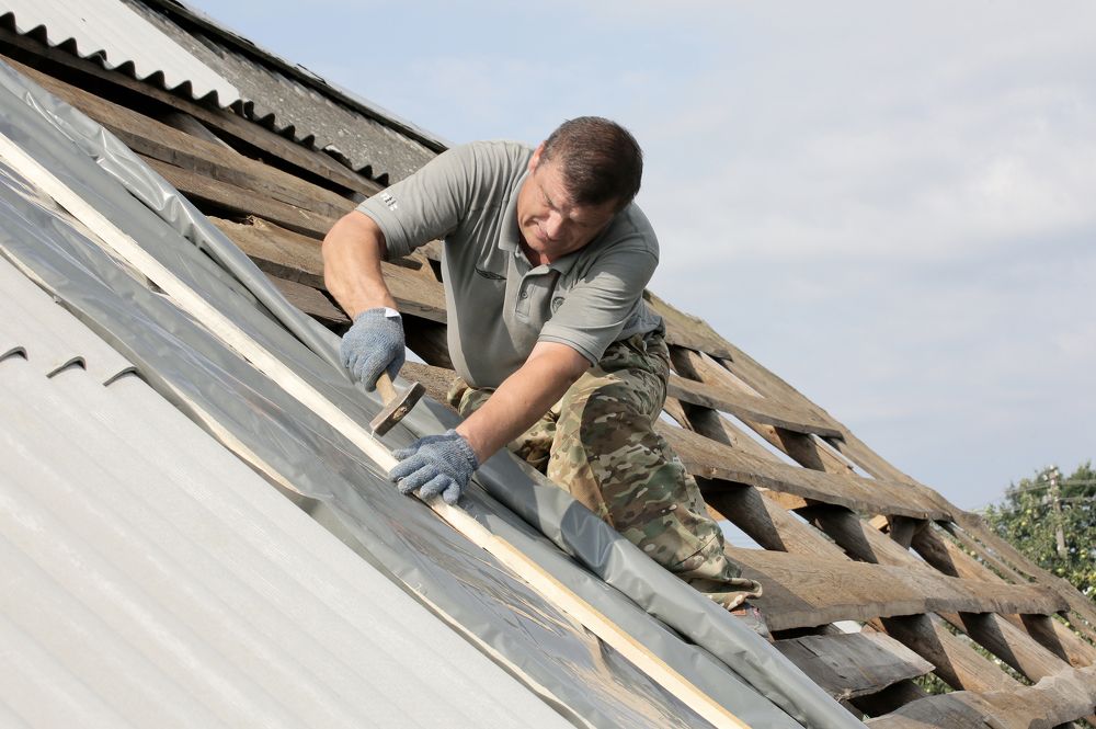 Фотография автора Николай Семенец
