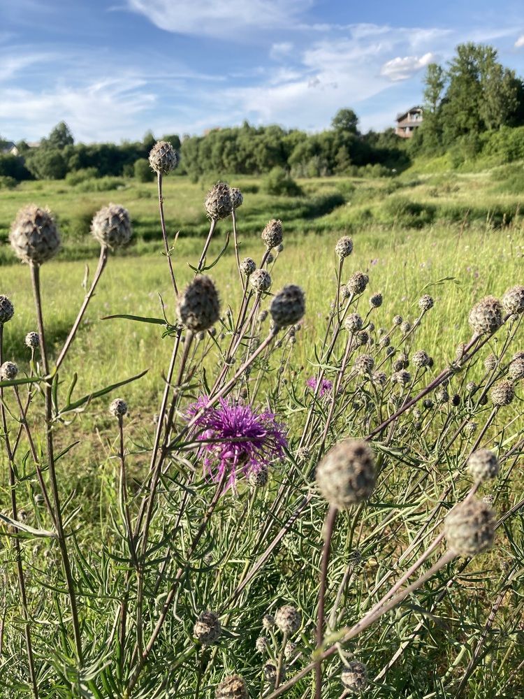Photograph by Светлана Выдрова