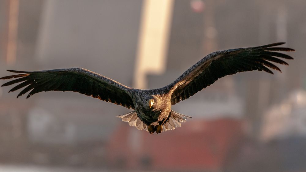 Photograph by константин