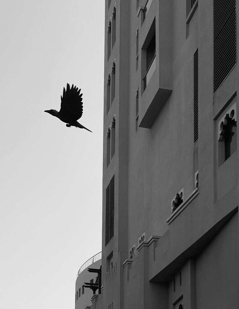 Фотография автора ГУЗАЛИЯ ГАНИЕВА