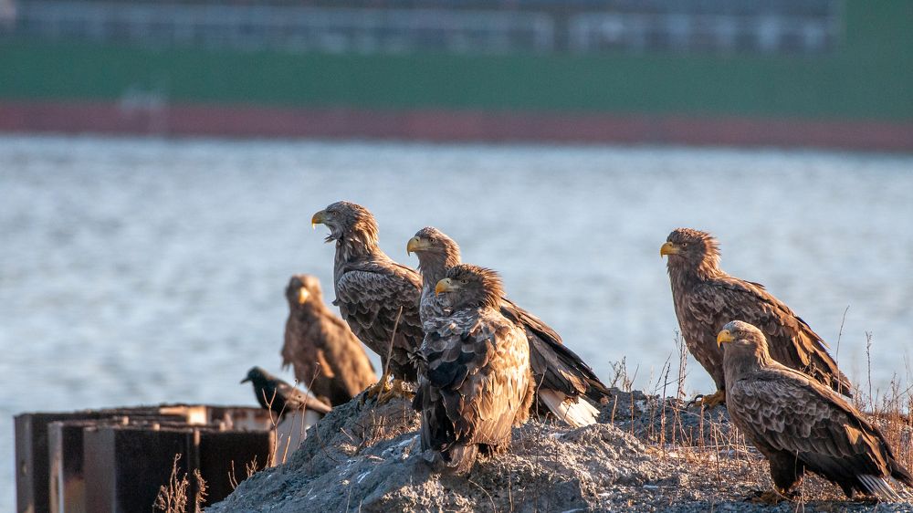 Photograph by константин