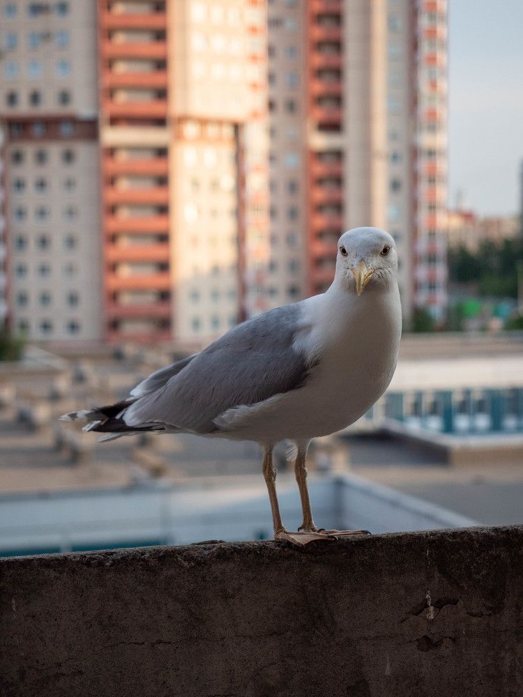 Photograph by Александр Васильев