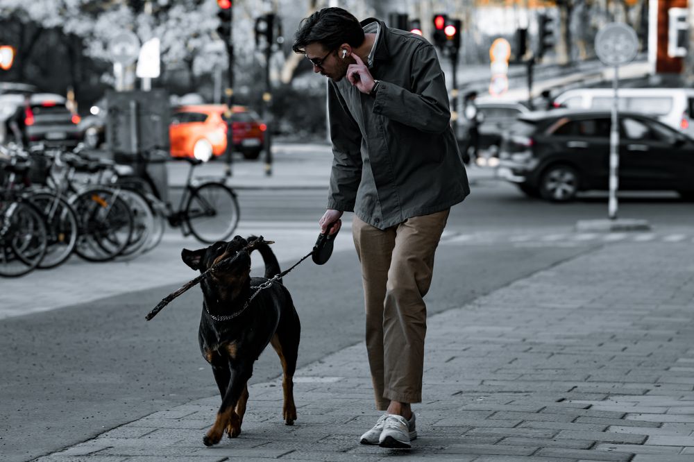 Фотография автора Ruslan Badykov