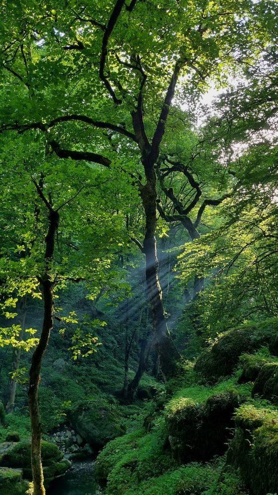 Photograph by amir mohammad manzouri