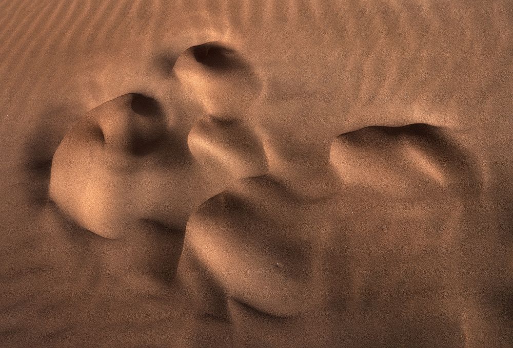 Photograph by Jens Ober