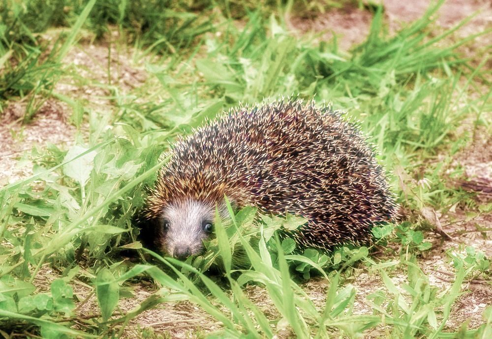 Photograph by Юлия Лушникова