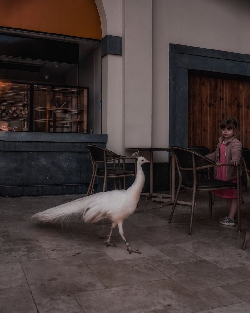 Photograph by Anya Lo