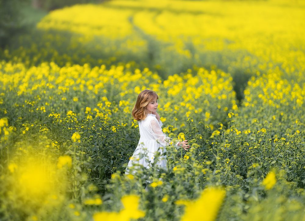 Photograph by Natalie K.