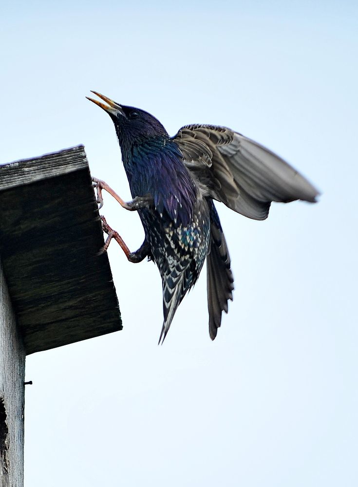 Photograph by Алексей Volg