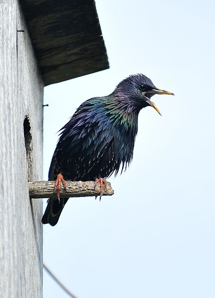 Photograph by Алексей Volg