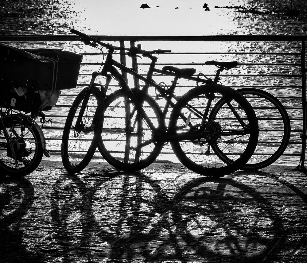 Photograph by Vladimir Bragilevsky