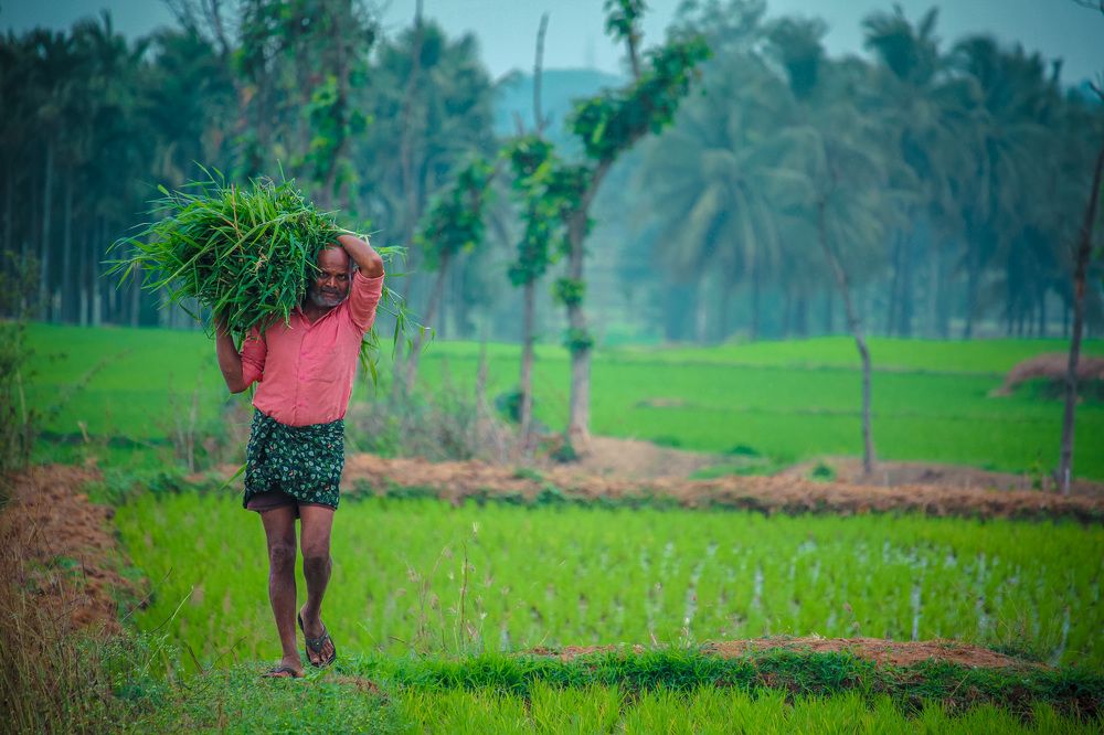 Фотография автора Manoj Kulkarni