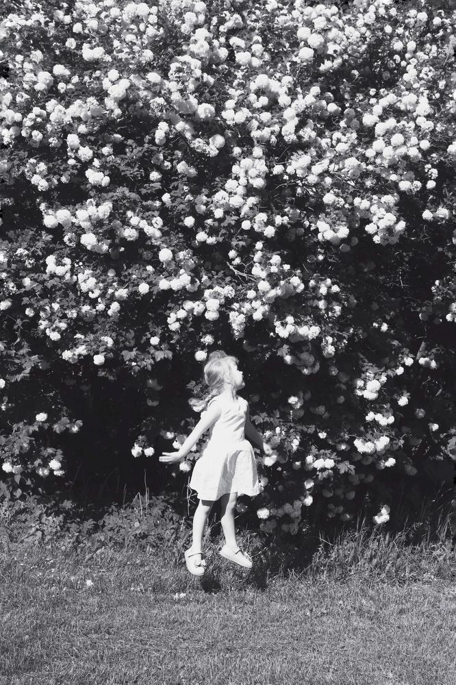 Photograph by Наталья