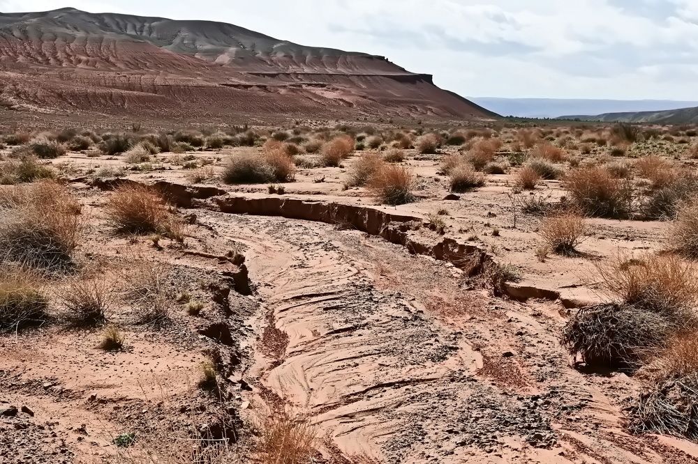 Photograph by Наталья Баранова