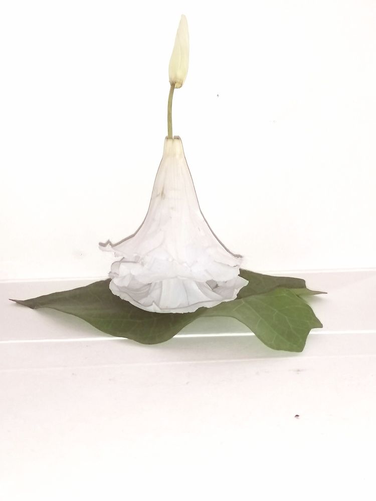 Photograph by Лариса Натальская