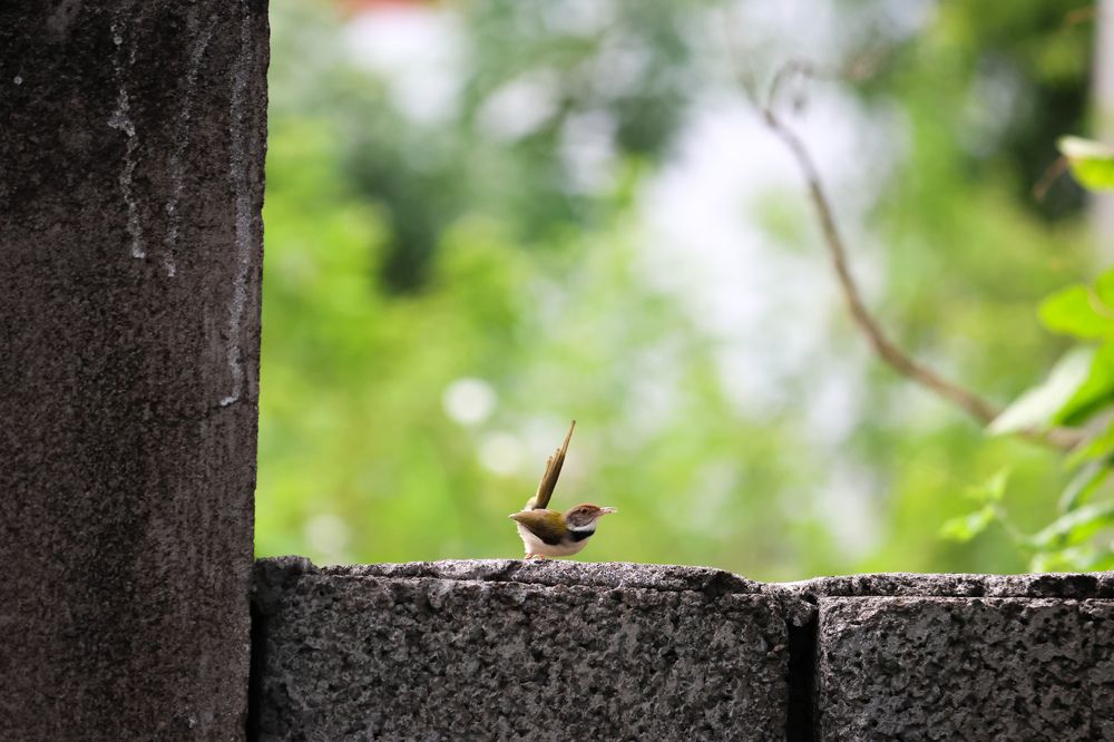 Photograph by Praveen kumar Sampath