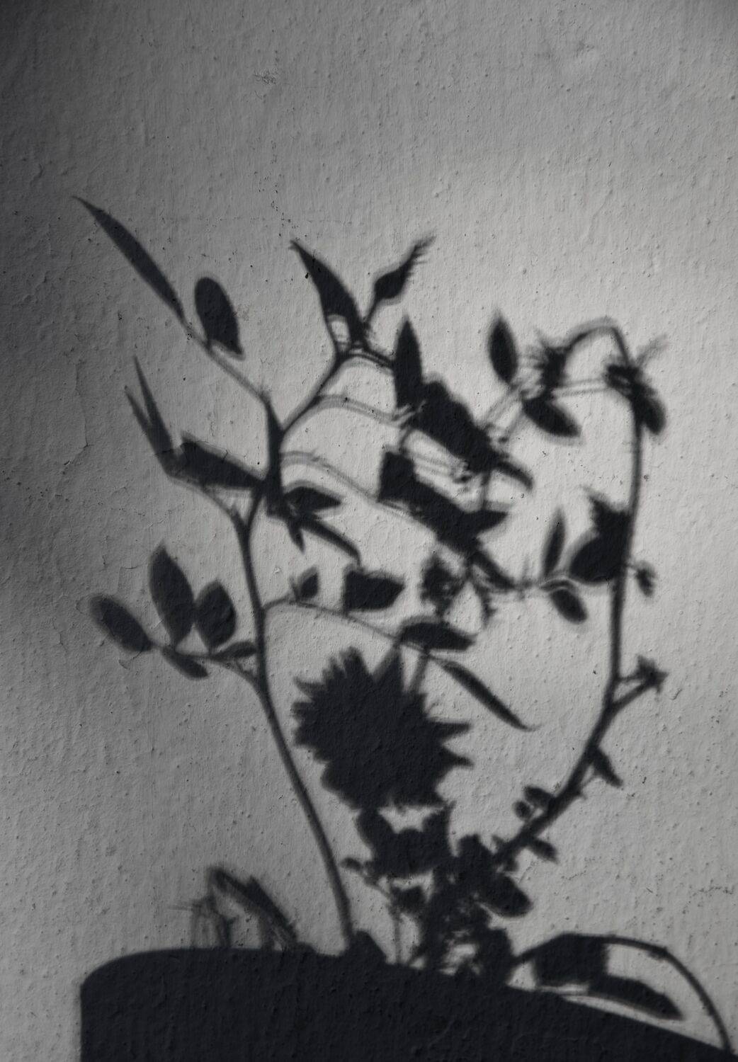 Фотография #10860156