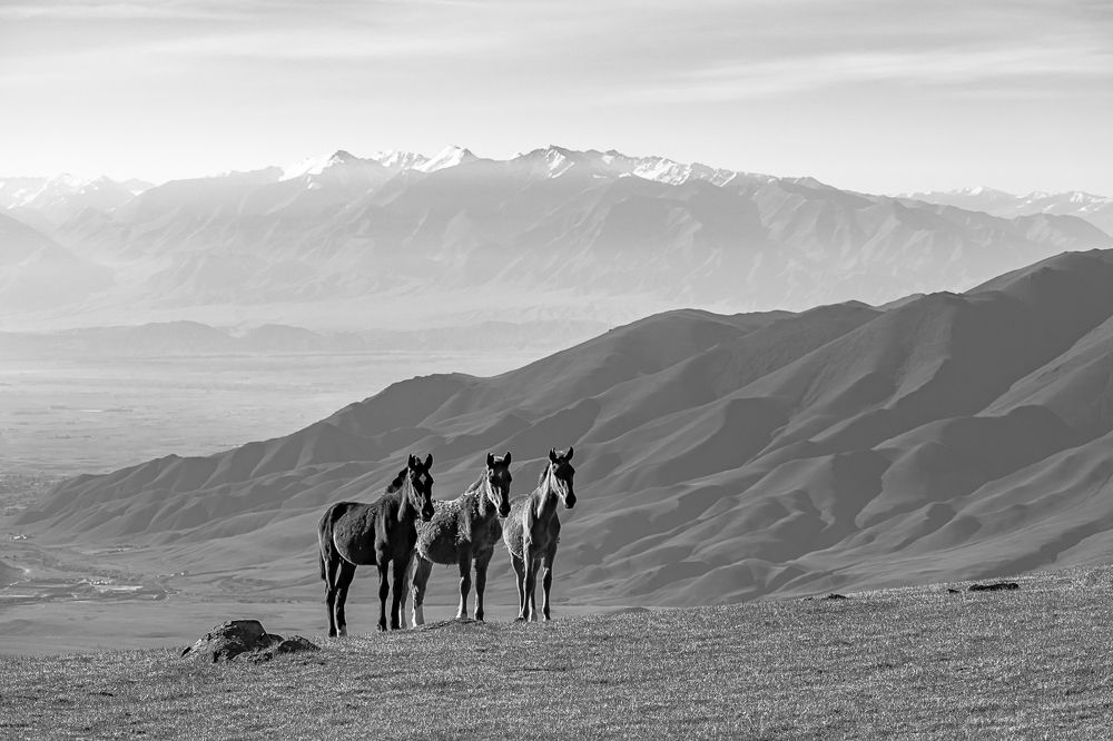 Photograph by Сергей Межин