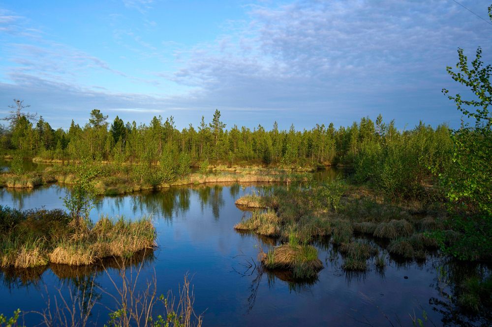 Photograph by Alexandr Klyuev