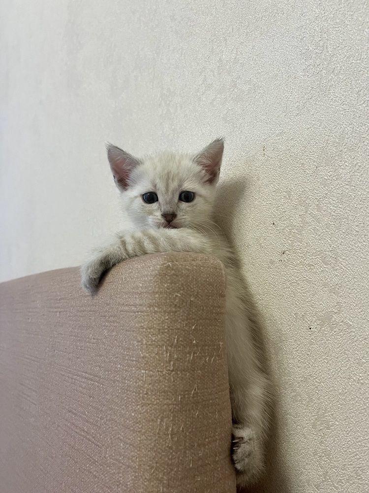 Photograph by Анна Закирова