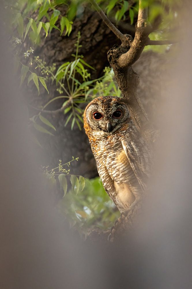 Photograph by Pratik Bhatt