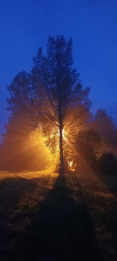 Photograph by Светлана