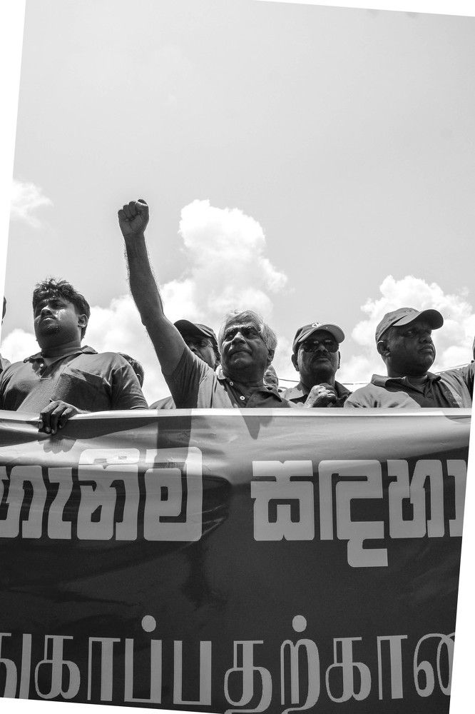 Photograph by MADUSHANKA KEERTHIRATHNA SUSEWHEWAGE DHANUSHKA