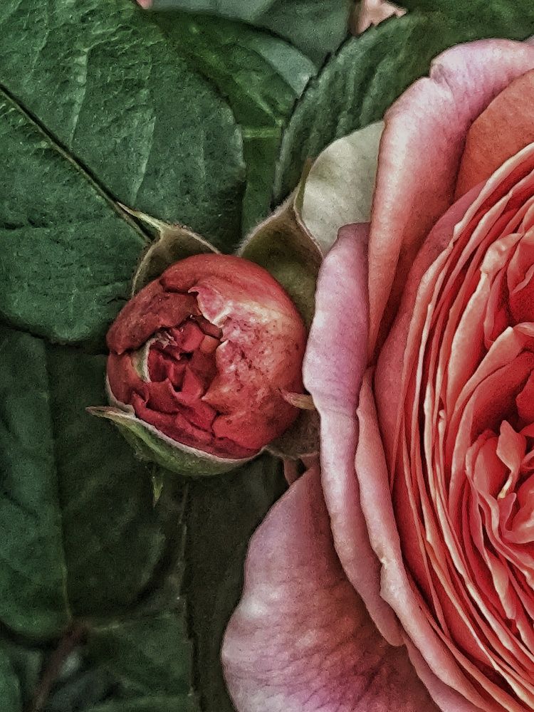 Photograph by Ирина Горбач