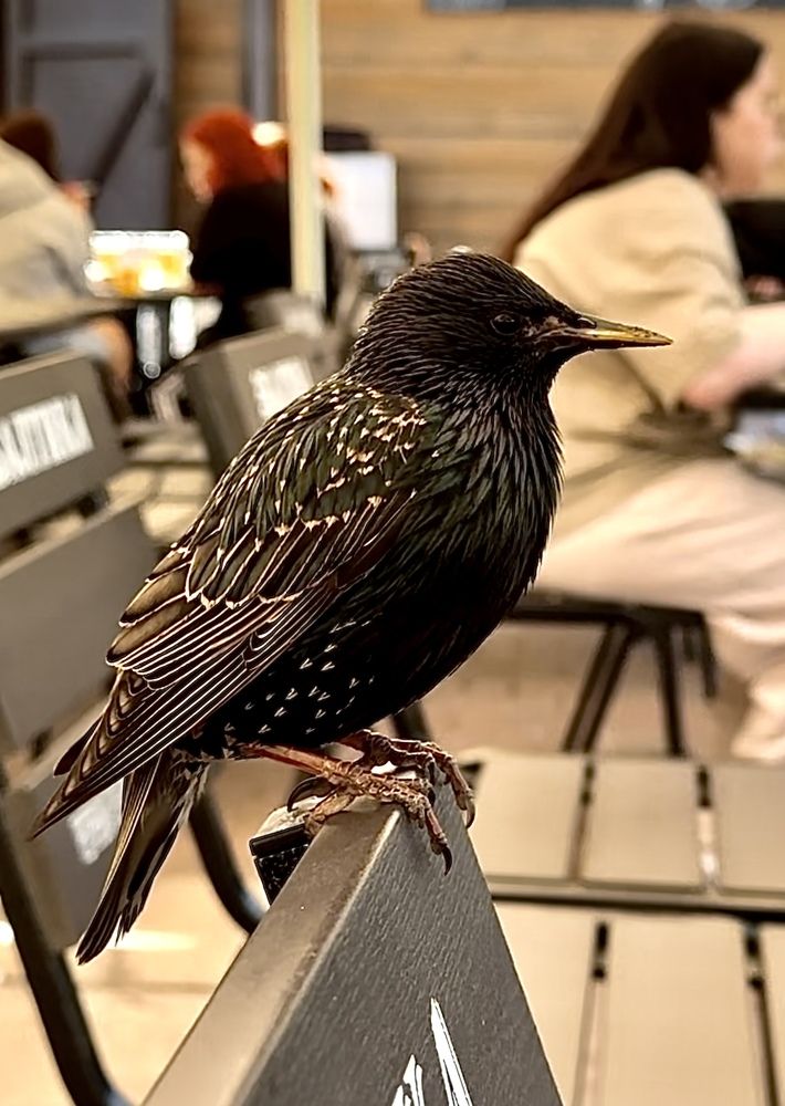 Photograph by Гуляева Светлана